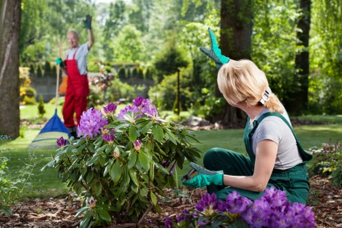 Supplier audit paperwork for a tree surgery business