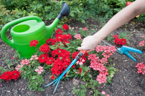 Hedge cutting work for a residential garden in Barking