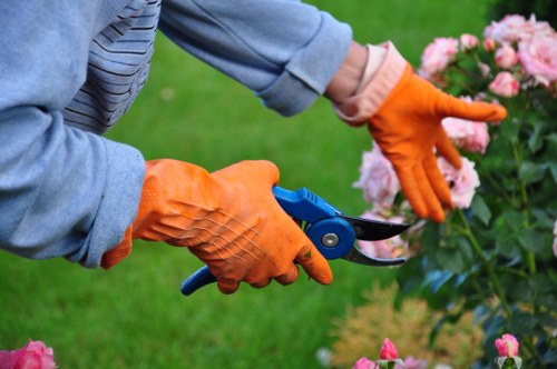 Tree surgeon using climbing and rigging equipment safely