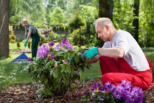 Local hedge maintenance for a home garden in Barking
