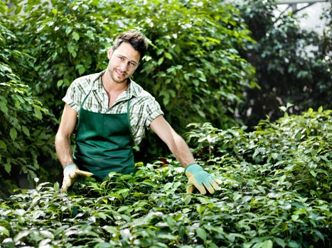 Safe and compliant payment process for tree work services