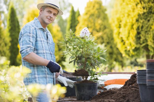 Tree surgeons managing equipment and site safety